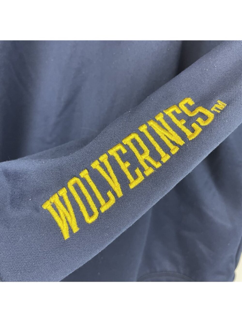Vintage Champion Michigan Wolverines Hoodie – Men’s Small – Blue & Yellow - Picture 8 of 8